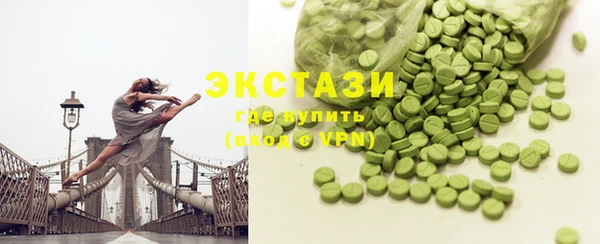 гашик Алексин