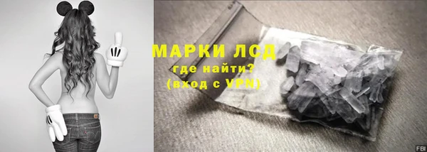 тгк Сатка