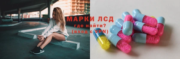 гашик Алексин