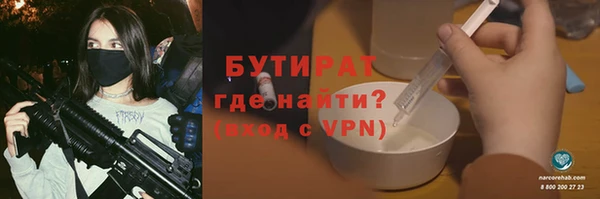 гашик Алексин