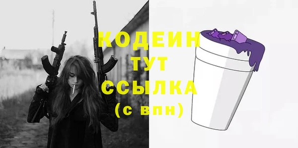гашик Алексин