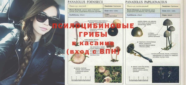 экстази Алексеевка