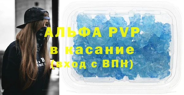 гашик Алексин