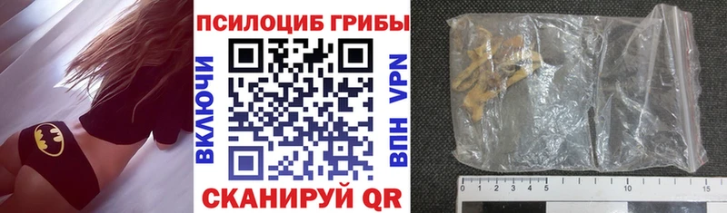 hydra как войти  Гаджиево  Галлюциногенные грибы Magic Shrooms 